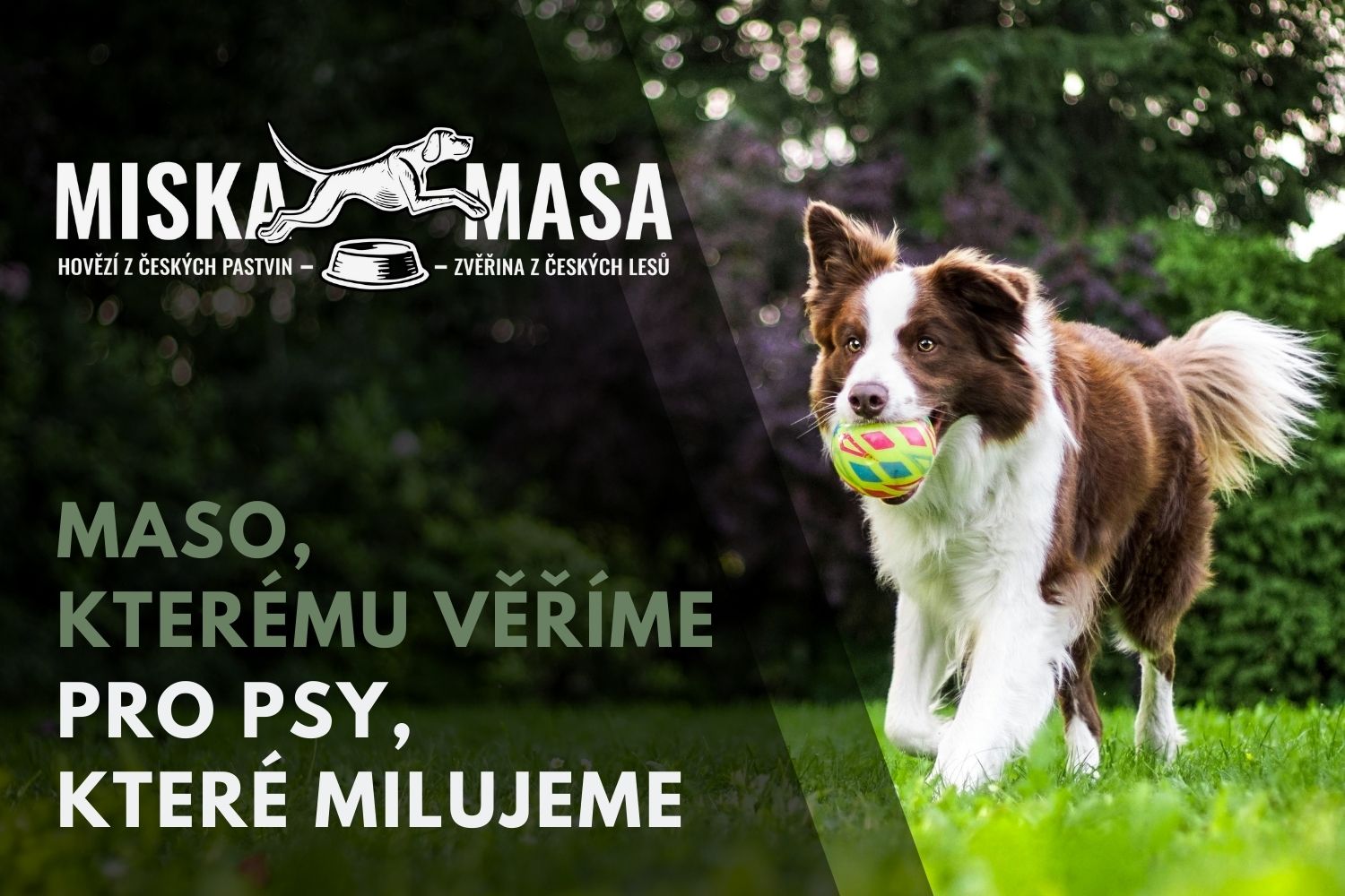 Miska Masa