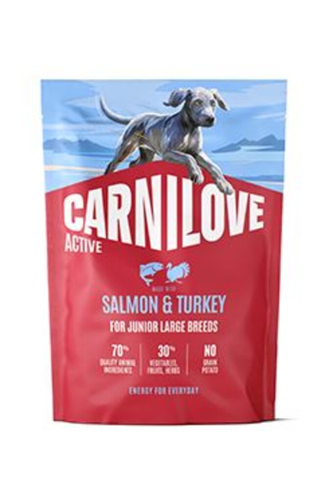 Dog Active Dry Salmon&Turkey Junior LB 1,5kg