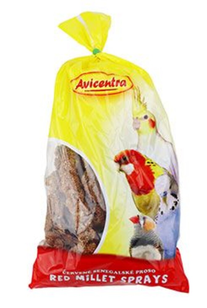 senegalské proso klasy 100g