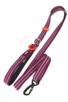Vodítko pes BIVOUAK nastavitelné 25mm/1,15-2m červ Zol 
