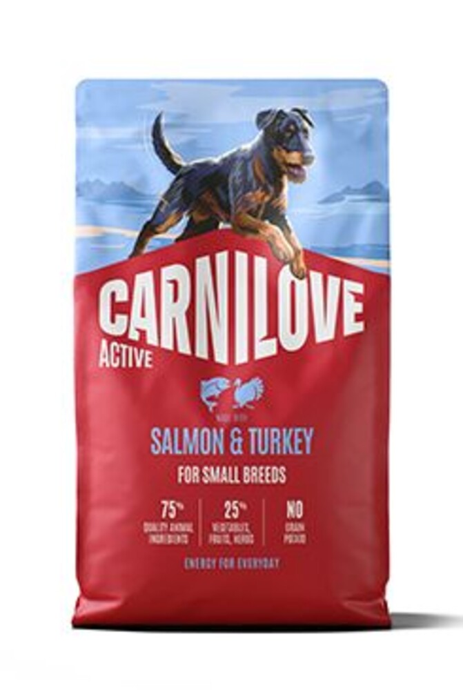 Dog Active Dry Salmon&Turkey Adult SB 4kg