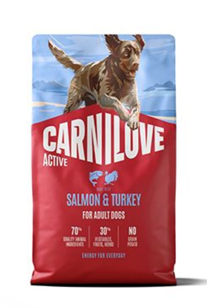 Dog Active Dry Salmon&Turkey Adult AB 4kg