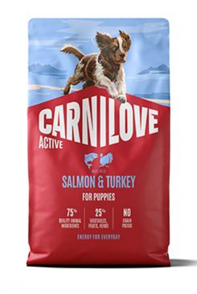 Dog Active Dry Salmon&Turkey Puppies 4kg