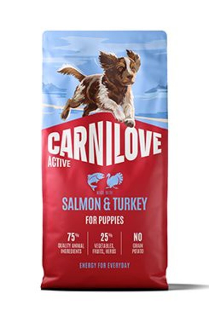 Dog Active Dry Salmon&Turkey Puppies 12kg