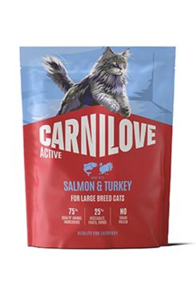 Cat Active Dry Salmon&Turkey Adult LB 400g