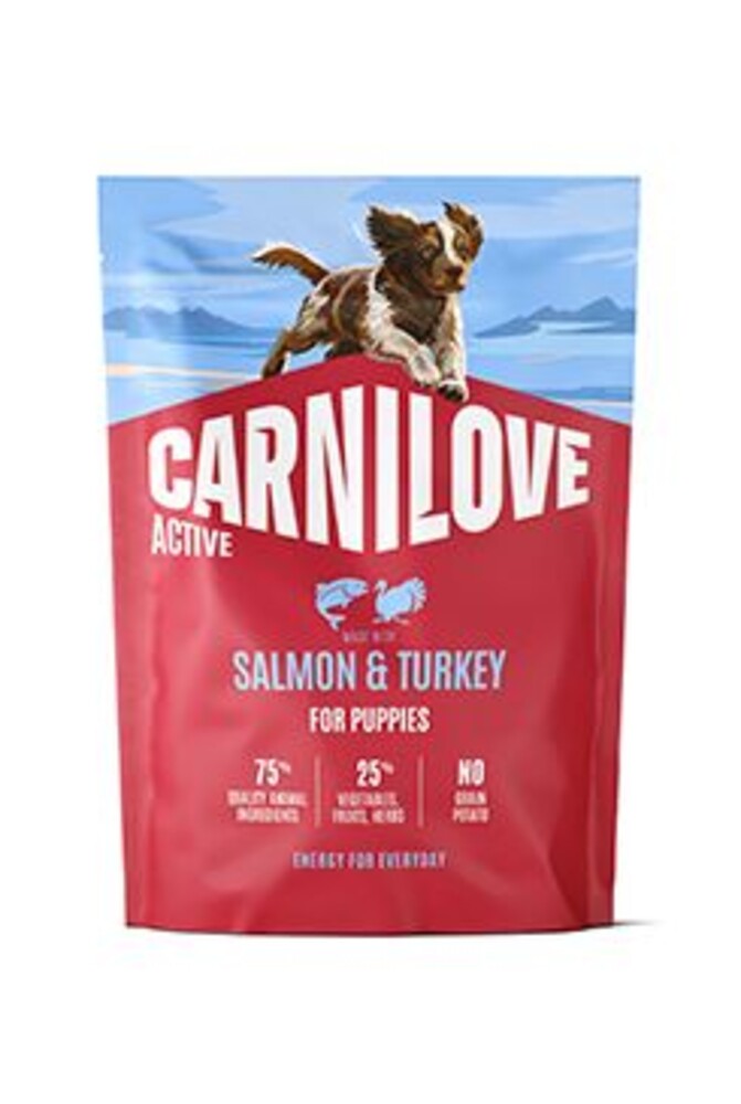 Dog Active Dry Salmon&Turkey Puppies 1,5kg