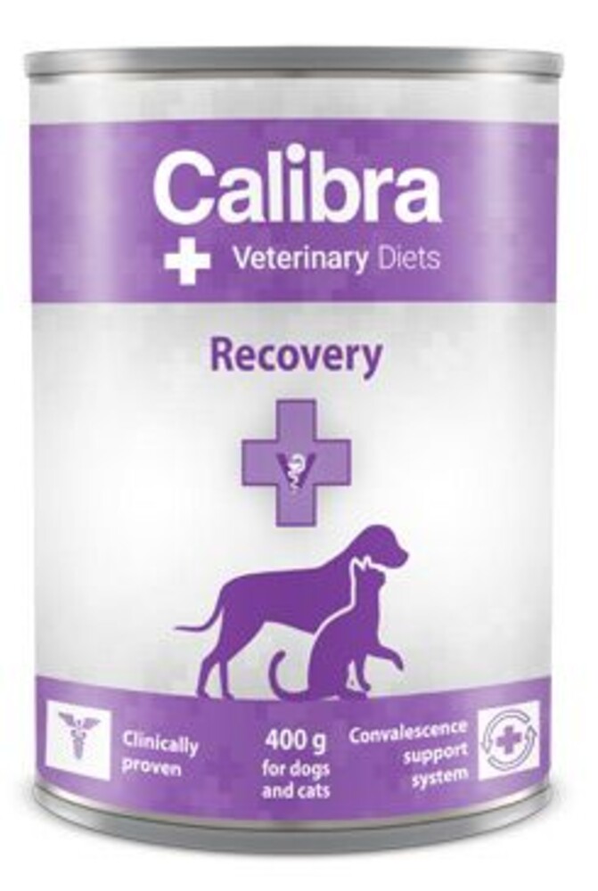 VD Dog & Cat konz. Recovery 400g