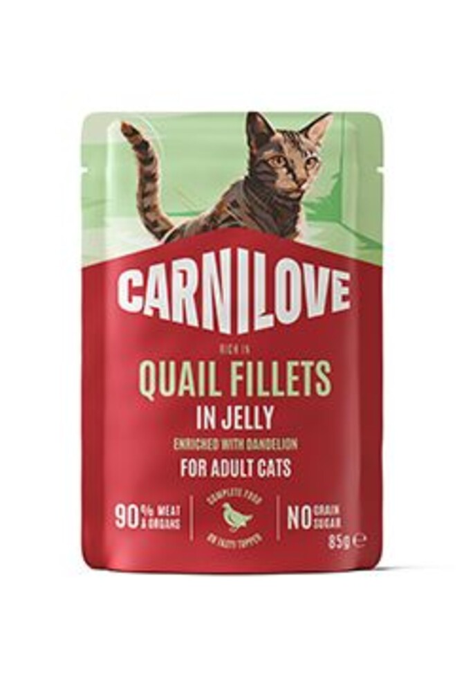 Cat Pouch Jelly Quail+Dandelion 85g