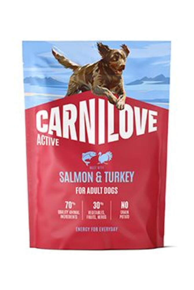 Dog Active Dry Salmon&Turkey Adult AB 1,5kg
