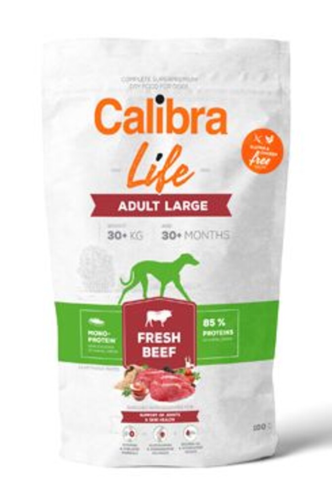 Dog Life Adult Large Fresh Beef 100g