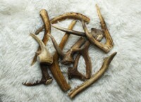Parůžky - pamlsek 140-180 g 