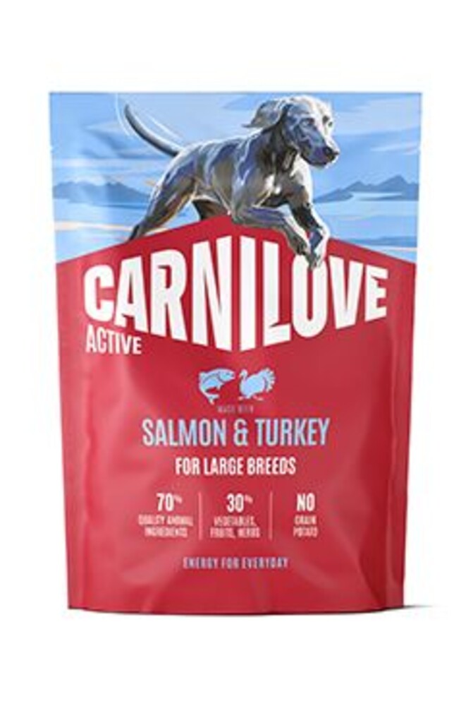 Dog Active Dry Salmon&Turkey Adult LB 1,5kg