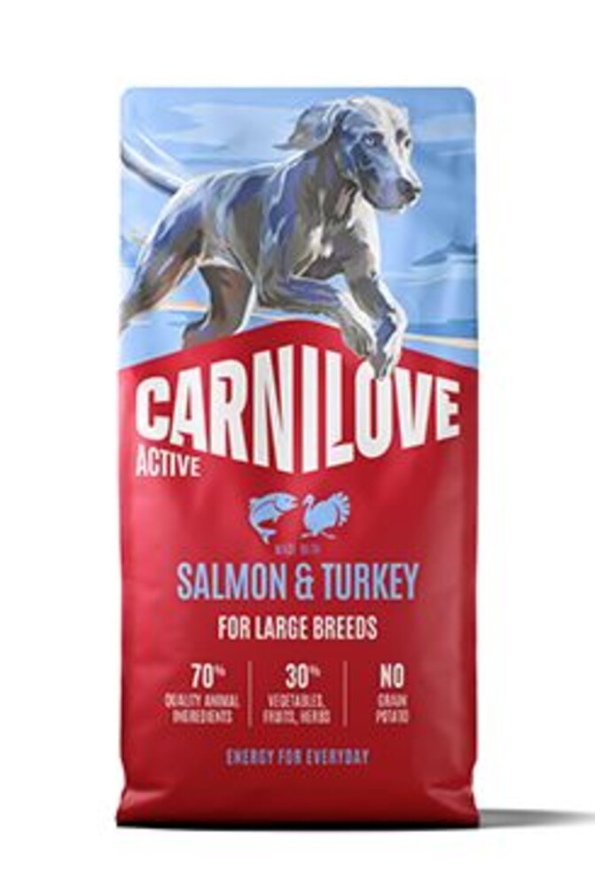 Dog Active Dry Salmon&Turkey Adult LB 12kg
