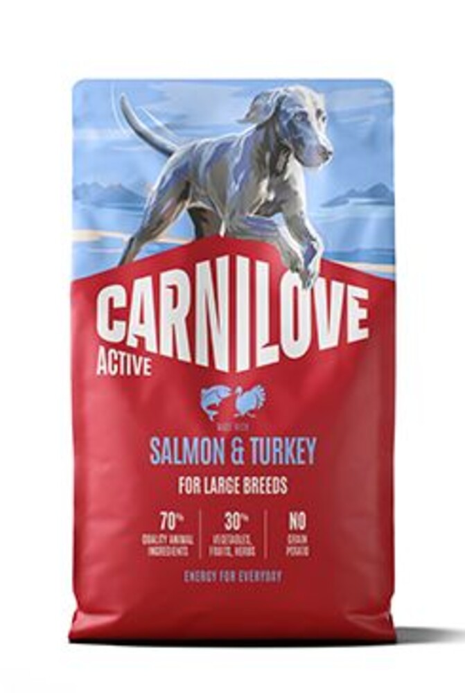 Dog Active Dry Salmon&Turkey Adult LB 4kg