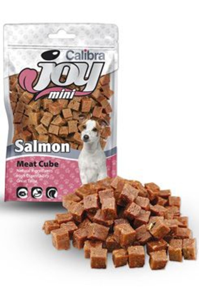 Joy Dog Mini Salmon Cube 70g